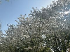 -阳澄湖半岛旅游度假区