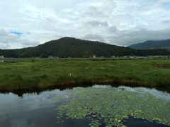 -腾冲北海湿地