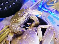 -澜悦港海鲜体验主题餐厅