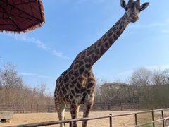 -济南野生动物世界