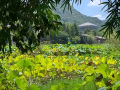 -贵阳市花溪国家城市湿地公园