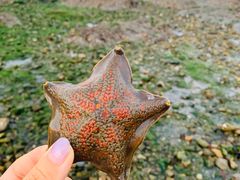 -黑石礁公园