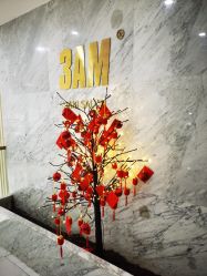 -3AM HAIR SALON染发接发