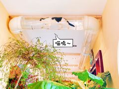 -萤火虫咖啡(后海店)