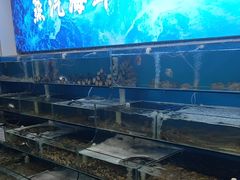 -仙螺岛海鲜自助餐厅(总店)