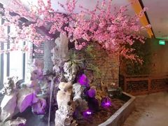 -富侨养生(光大会展店)