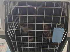 -美联众合动物医院·24h京西诊疗中心