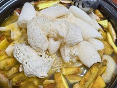 -菌之家·专业纯野生菌火锅·特色炒菌