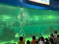 -苏州海洋馆