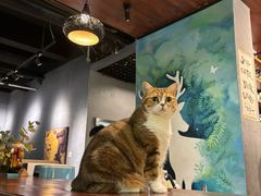 -咖法森林·咖啡  酒吧(天河店)