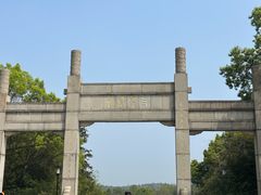-宜兴龙背山森林公园