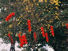 -洲头咀公园