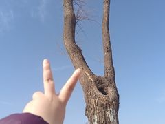 -盛世南宫影视城(北普陀影视城)