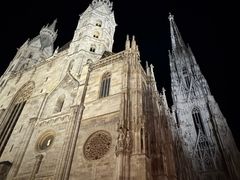 -斯蒂芬主教座堂(Stephansdom)