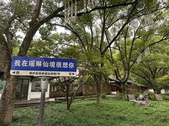 -瑶琳仙境
