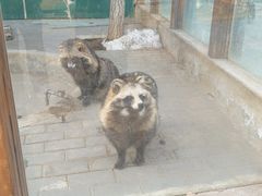 -静之湖度假区