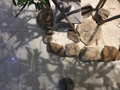 -木子塘汗蒸生活馆(财富港店)