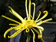 -无锡梅园公园