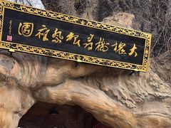 -大槐树寻根祭祖园