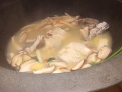 -咕嘟草帽鱼·牛奶一样的鲜鱼汤(天鹅湖万达广场店)
