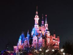 -上海迪士尼度假区