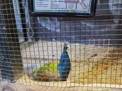 -酷嗒动物文化乐园(cutezoo西溪乐天城店)