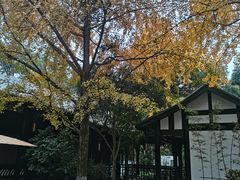 -望江楼公园