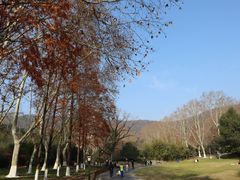 -习家池