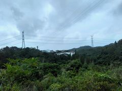 -田心森林公园