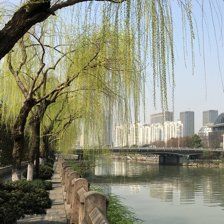 -老村长土菜馆(湖墅南路店)