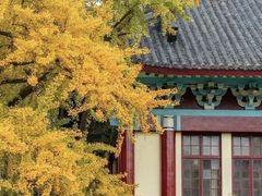 -颐和路民国时期公馆风貌区