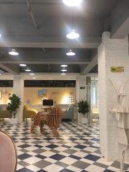 -宝贝天空儿童摄影(花溪店)