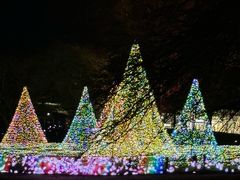-轻井泽王子购物广场