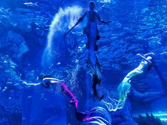 -波塞冬旅游度假区