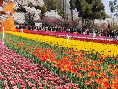 -苏州上方山国家森林公园