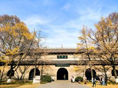 -灵谷景区