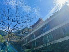 -深圳仙湖植物园