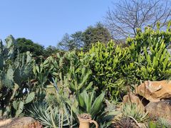 -东莞植物园