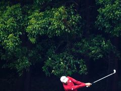 -银涛高尔夫练习场(徐泾店)