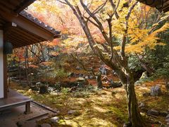 -常寂光寺