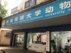-成都民大动物医院