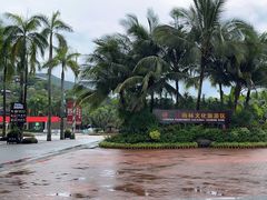 -呀诺达热带雨林