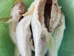 -葑门横街