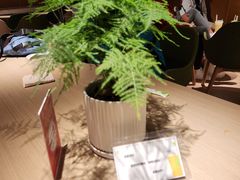 -奈雪的茶(新天地广场PRO店)