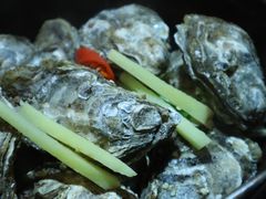 -九道菜有鸡鱼头(石鼓路店)
