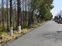 -嘉北郊野公园
