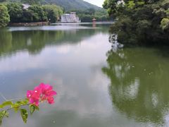 -广州市干部健康管理中心