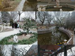 -桃花堤公园