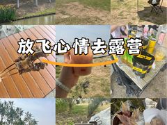 -春花秋色城市公园