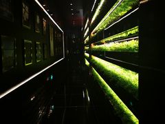 大堂-L'ATELIER de Joel Robuchon(外滩18号店)
